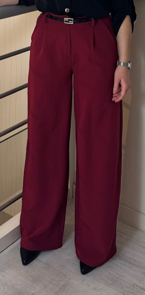 Pantalon tailleur à pinces LUNA - Bordeaux